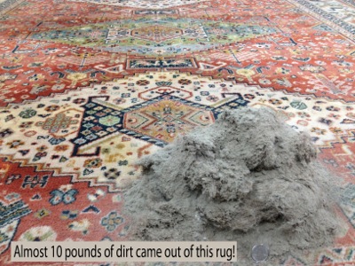 Picture of large pile of dirt removed from rug during cleaning process